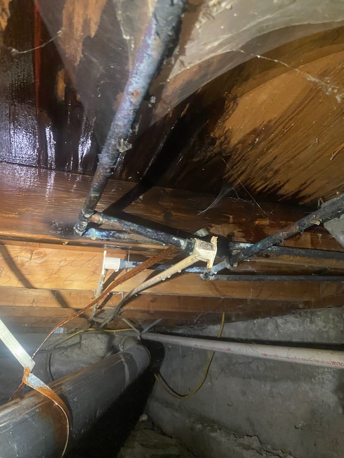 Standing water found in a crawlspace during a plumbing repair